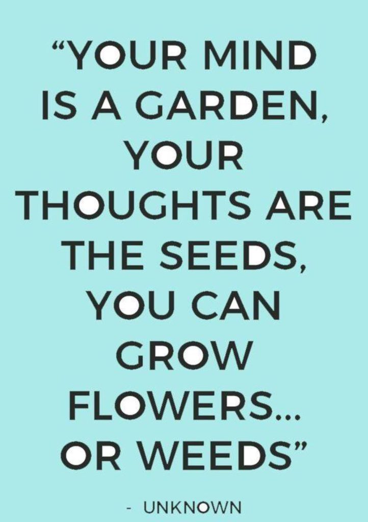 Inspirational quote: Your mind is a garden