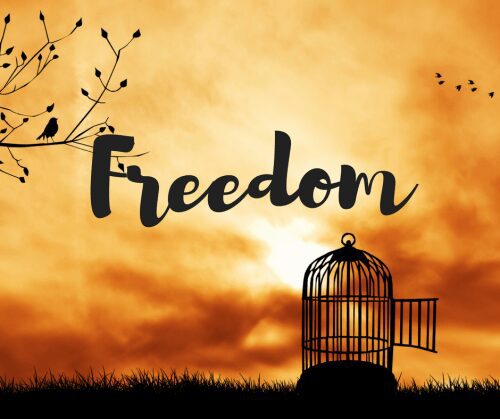 Open birdcage with birds flying at sunset