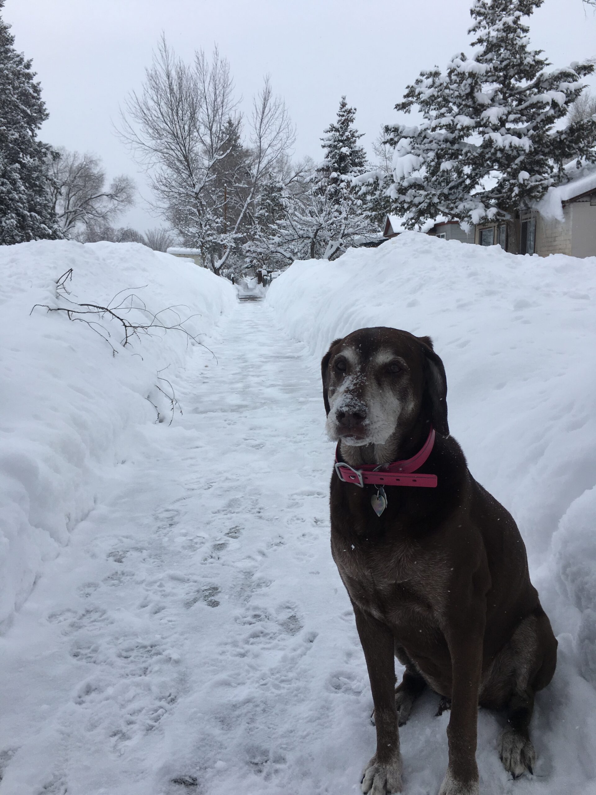 Grace, Community, and Lots and Lots of Snow!