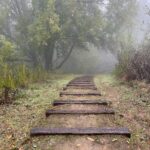 Transformation requires small steps over time